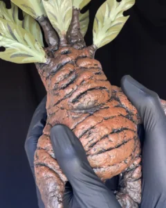 Posteo de Instagram Frase Motivacional Magia Minimalista Rojo (2)