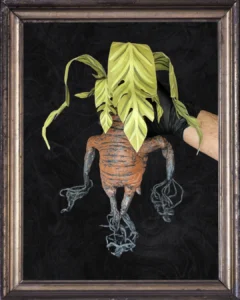 Posterior sin maceta