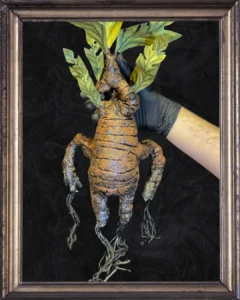 Posterior sin maceta