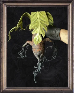 Posterior sin maceta