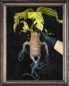 Posterior sin maceta