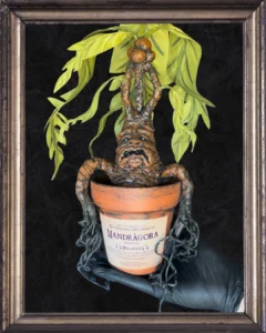 POSTEOS - WALKIVERSO (9)