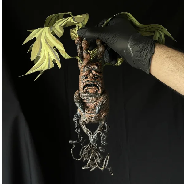 Mandrágora - Picketleaf - Imagen 3