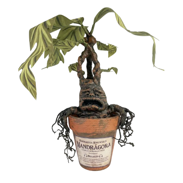 Mandrágora - Rockyroot