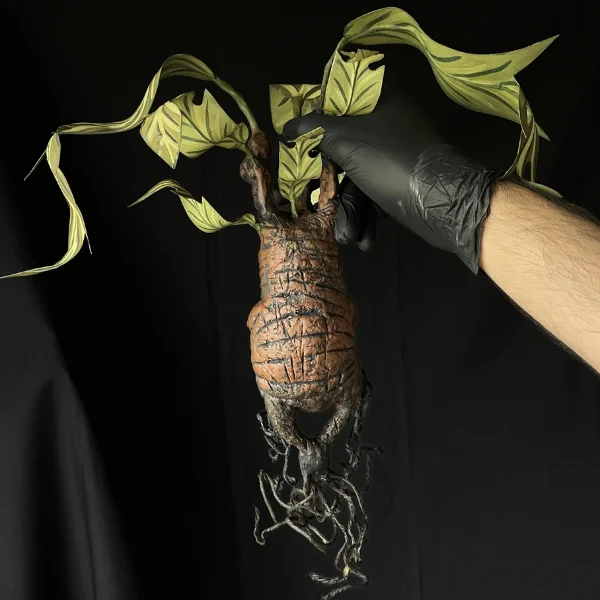 Mandrágora - Picketleaf - Imagen 4