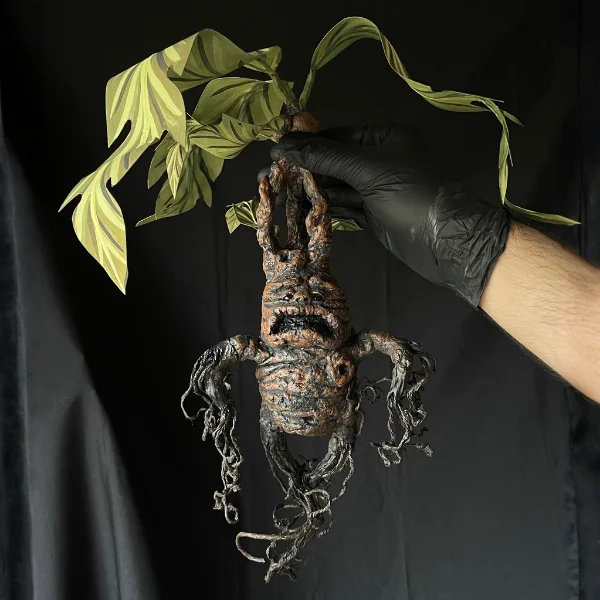 Mandrágora - Rockyroot - Imagen 3