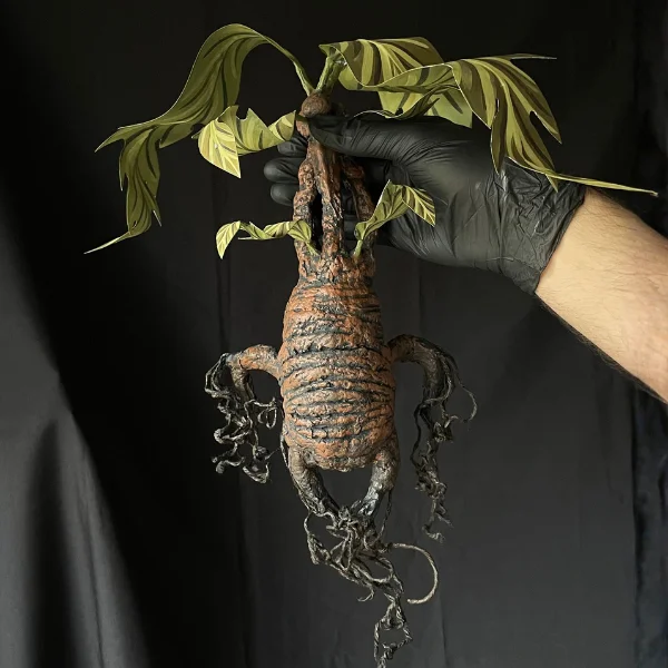 Mandrágora - Rockyroot - Imagen 4