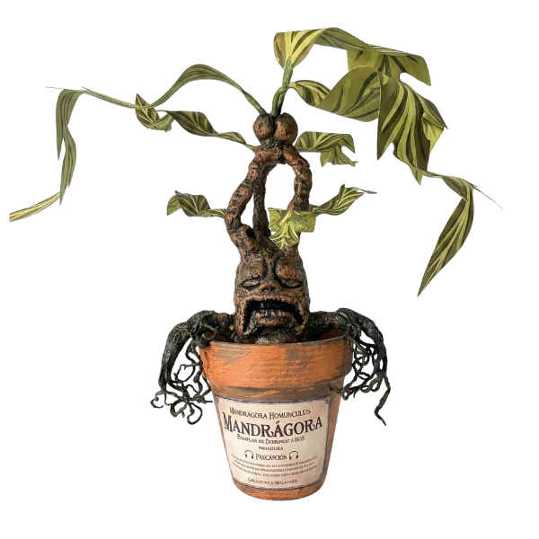 Mandrágora - Gretterbud