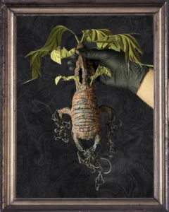 Posterior sin maceta