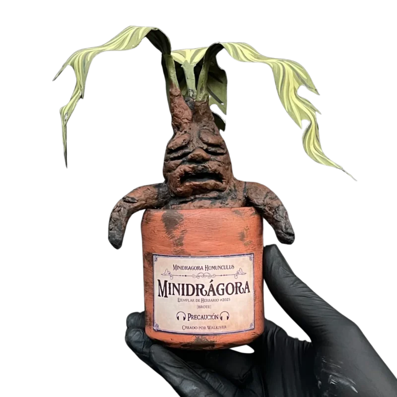 Minidrágora - Mortimer